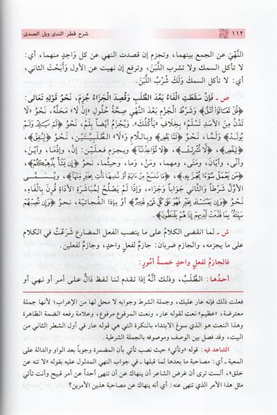 شرح قطر الندى وبل الصدى