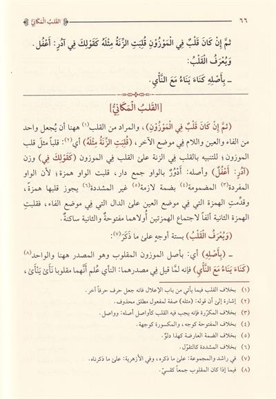 شرح شافية ابن الحاجب في علم الصرف
