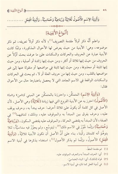 شرح شافية ابن الحاجب في علم الصرف