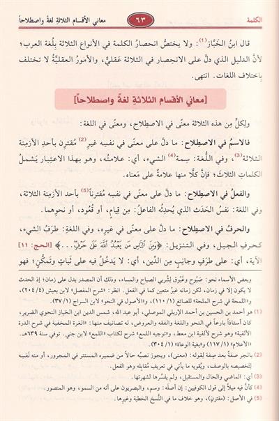 Sharh Shudhur al-Dhahab fi Marifat Kalam al-Arab