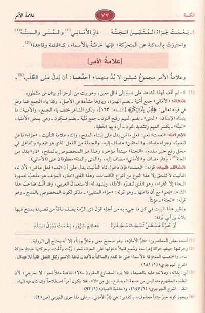 Sharh Shudhur al-Dhahab fi Marifat Kalam al-Arab