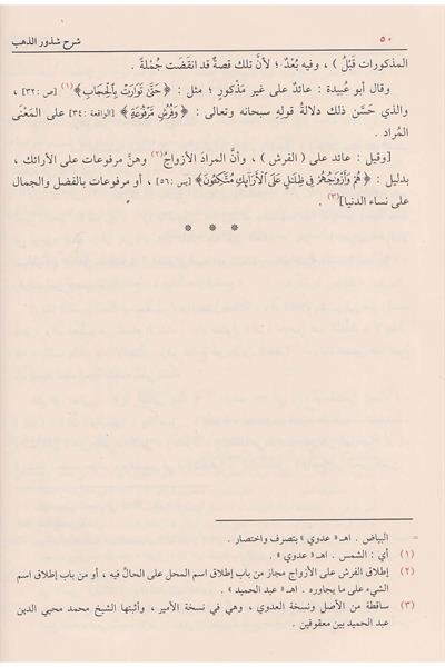 شرح شذور الذهب