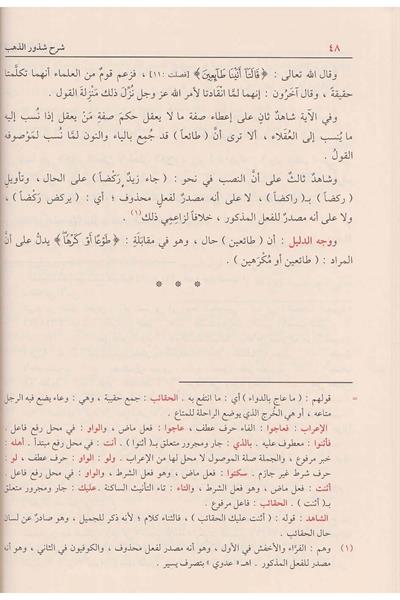 شرح شذور الذهب