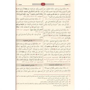 سنن ابي داود