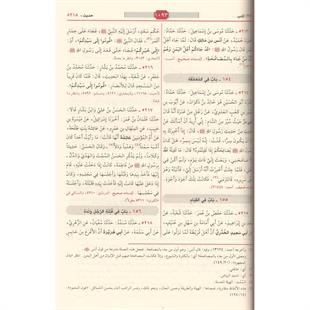 سنن ابي داود