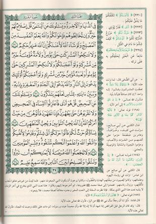 تفسير كلمات القرآن الكريم