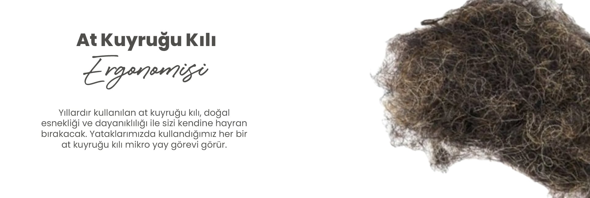 At Kuyruğu Kılı