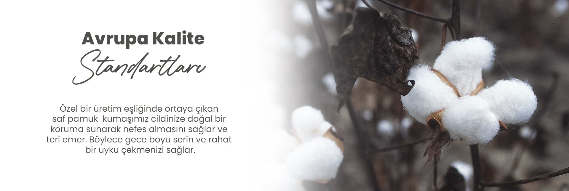 Avrupa Standartları