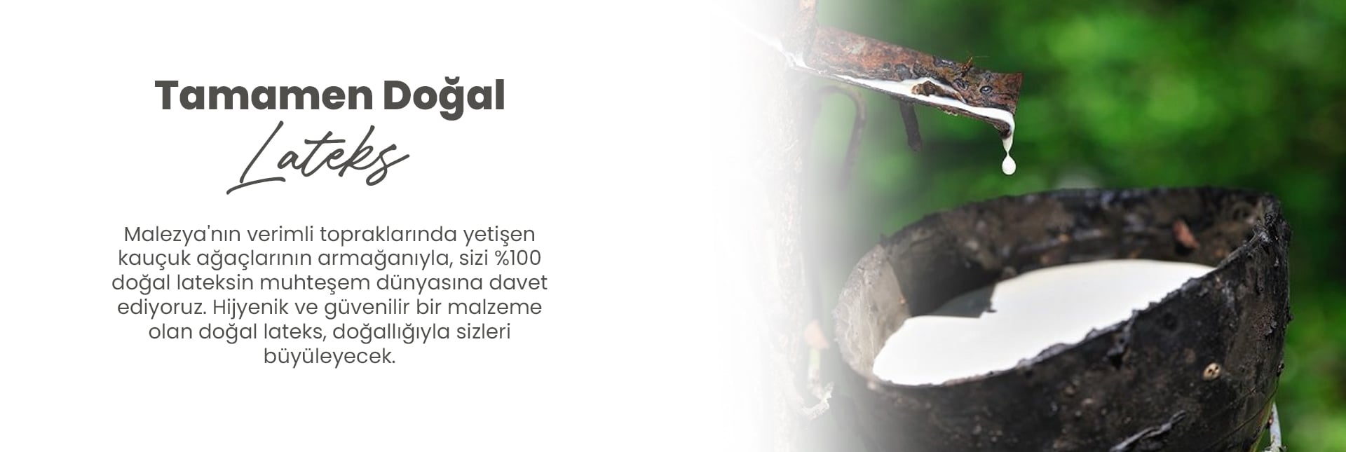 At Kuyruğu Kılı
