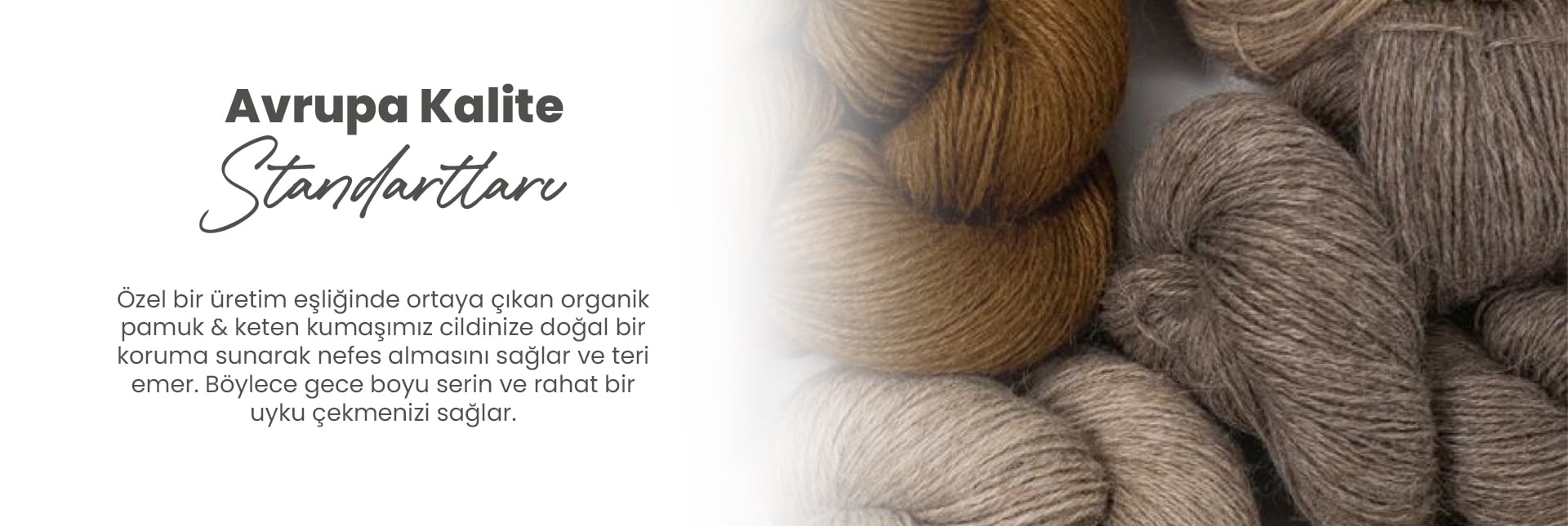 Avrupa Standartları