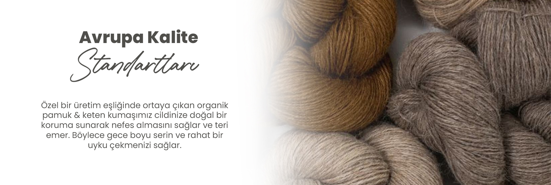 Avrupa Standartları