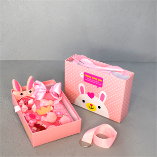 Kız Çocuk Hediyelik Pembe Toka Seti