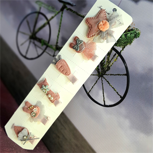 Kız Çocuk Pens Toka Seti 