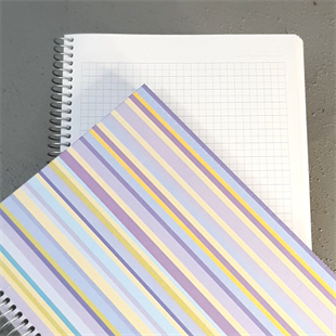 Spiralli Kareli Ajanda Not Defteri