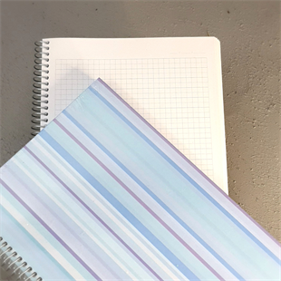 Spiralli Kareli Ajanda Not Defteri