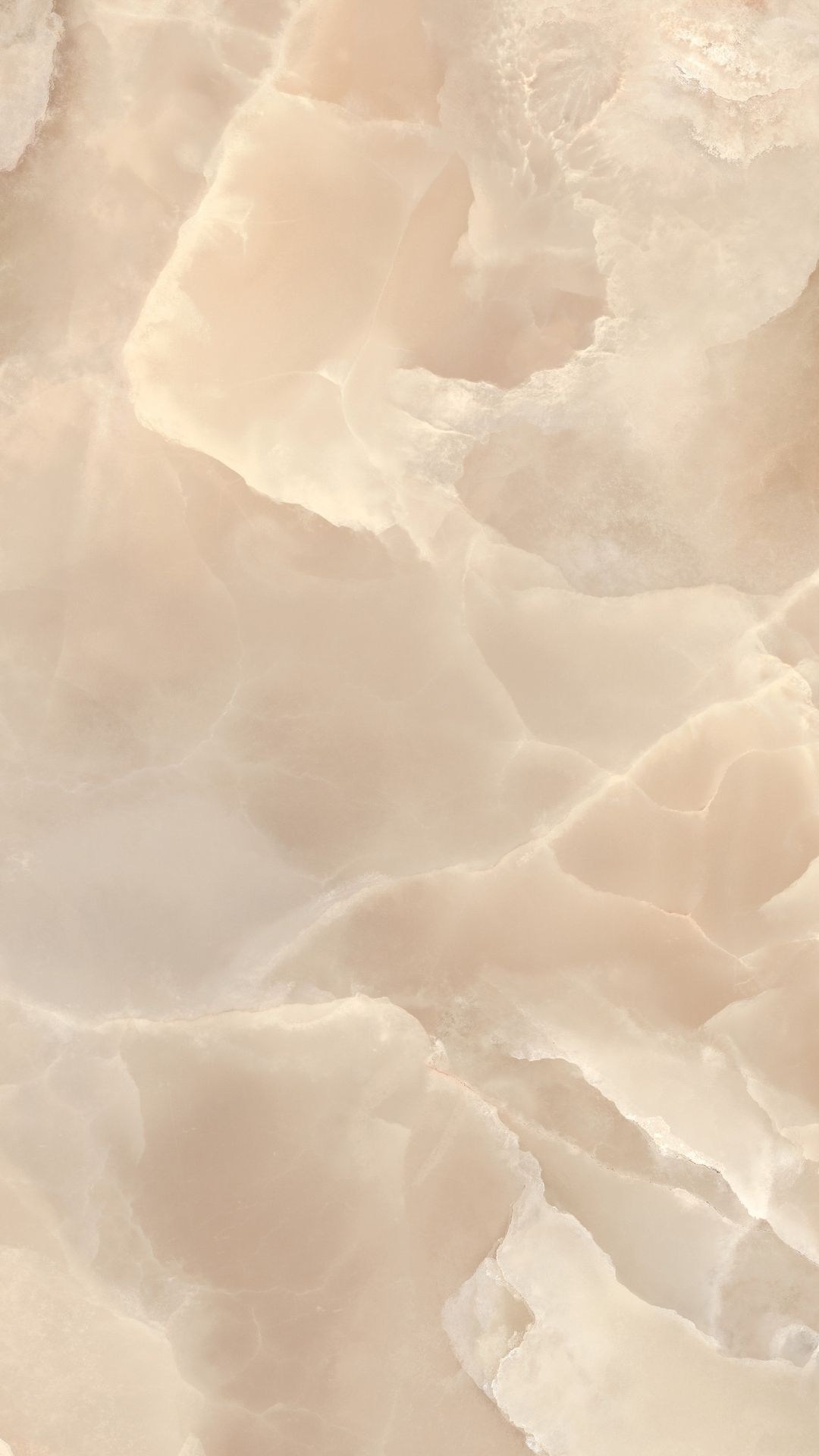 120x278