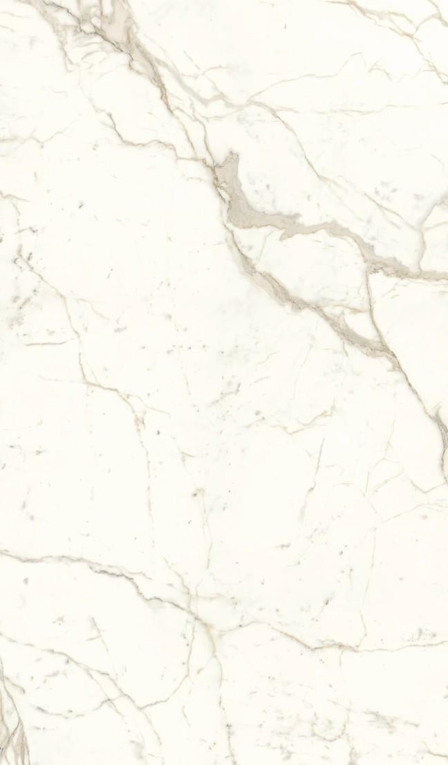 120x278