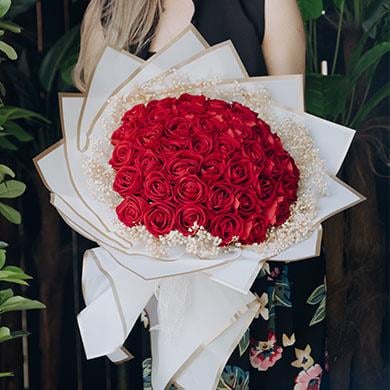 Kız İsteme Çiçeği