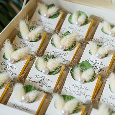 Okaliptus Model Çikolata