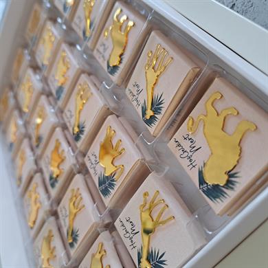 Safari Konsept Çikolata