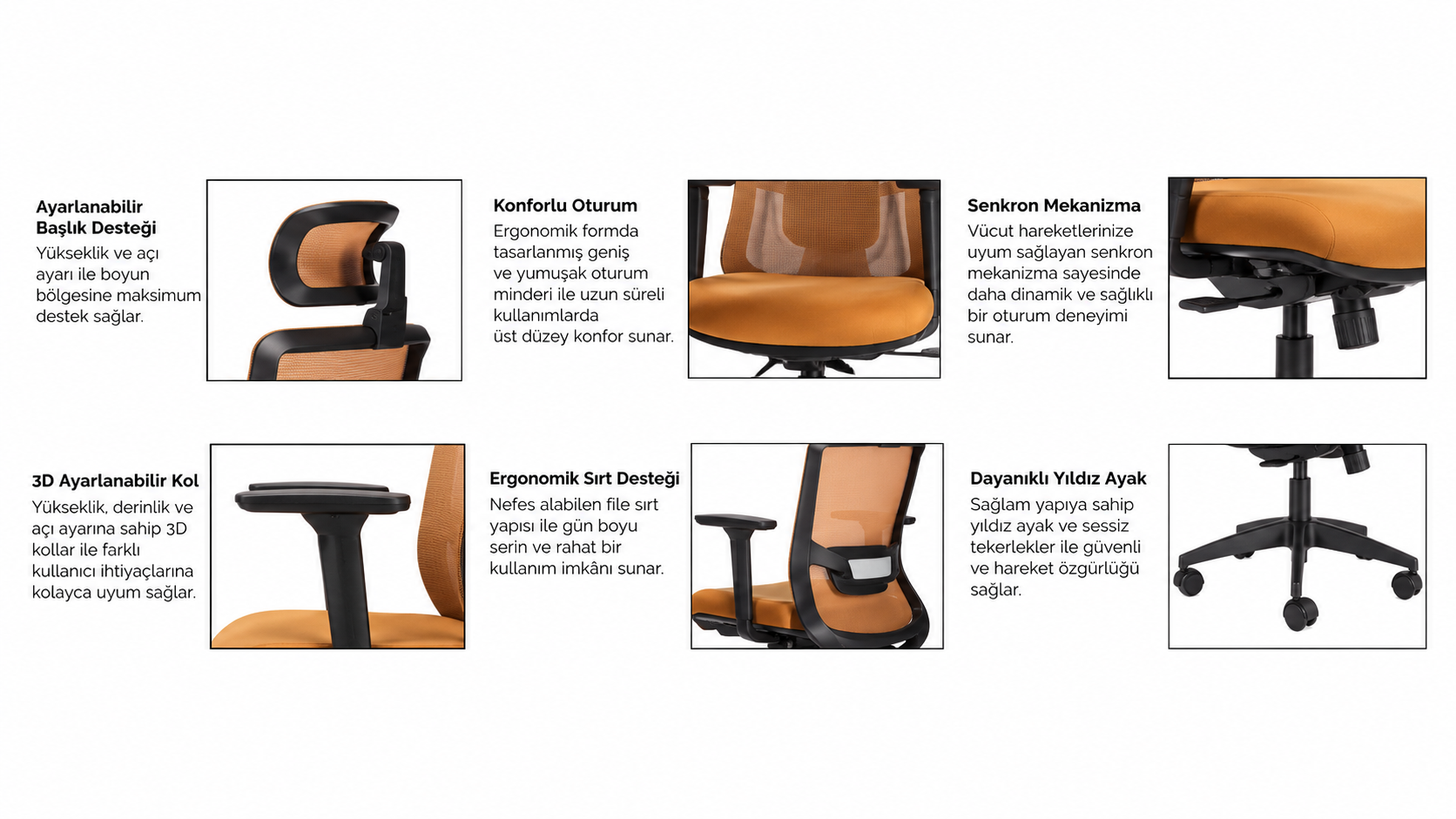 Goat 1 Yönetici Koltuğu | Ergonomik File Sırt, 3D Kol ve Senkron Mekanizma