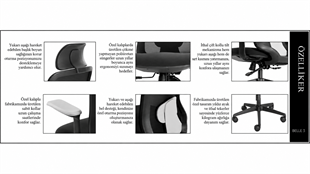 Belle 3 Yönetici Koltuğu | Ergonomik Fileli, Ayarlanabilir Başlık ve Bel Destekli, Çift Kollu Tilt Mekanizmalı