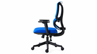Fank 2 Şef Koltuğu – Ergonomik Bel Destekli, 3D Kollu, Çift Kollu Mekanizmalı Ofis Koltuğu