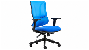 Fank 2 Şef Koltuğu – Ergonomik Bel Destekli, 3D Kollu, Çift Kollu Mekanizmalı Ofis Koltuğu