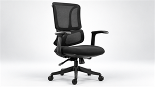 Fank 3 Çalışma Koltuğu | Ergonomik Fileli Sırt, Sabit Kol, Çift Kollu Mekanizma, Plastik Ayak
