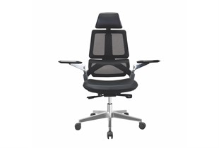 LOT Ergonomik Premium Yönetici Koltuğu | Ayarlanabilir Başlık & Mesh Sırt | Zec Ofis