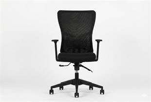 Lumbar Çalışma Koltuğu- Siyah