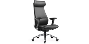 Padova Premium Ergonomik Yönetici Koltuğu