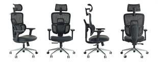 Venice Profesyonel Yönetici Koltuğu | Full Ergonomik & Ortopedik Tasarım