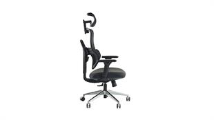 Venice Profesyonel Yönetici Koltuğu | Full Ergonomik & Ortopedik Tasarım