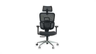 Venice Profesyonel Yönetici Koltuğu | Full Ergonomik & Ortopedik Tasarım