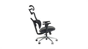 Venice Profesyonel Yönetici Koltuğu | Full Ergonomik & Ortopedik Tasarım