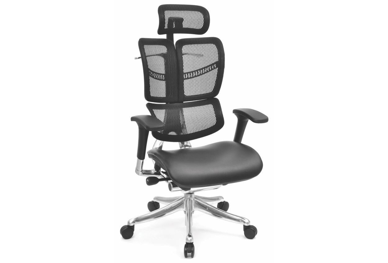 Fly Profesyonel Yönetici Koltuğu | Alüminyum İskelet & Ergonomik Premium Ofis Koltuğu