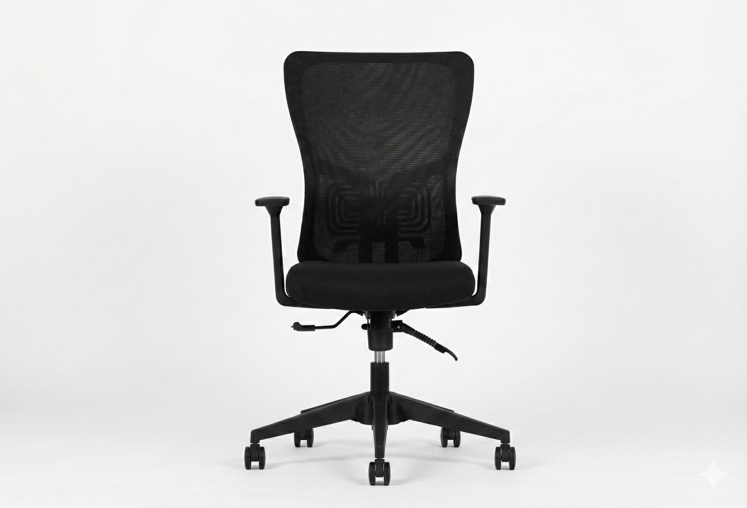 Lumbar Çalışma Koltuğu- Siyah