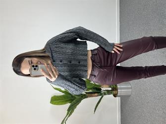  Dilvin Polo Yaka Düğmeli Simli Crop Füme Hırka