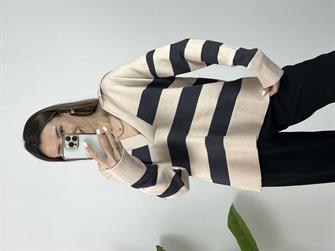 Dilvin Polo Yaka Çizgili Kazak