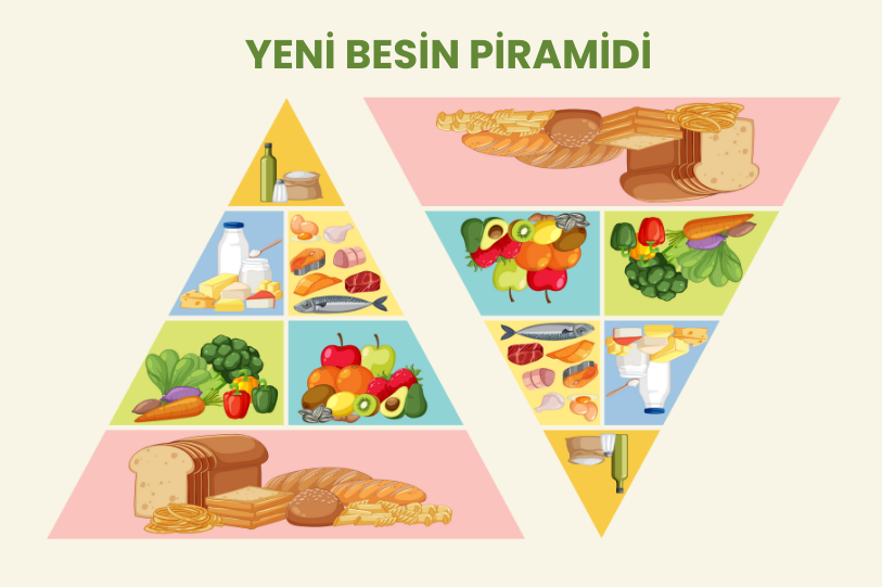 Amerika’nın yeni beslenme rehberi: Gerçek gıda odaklı beslenme piramidi ve protein, sebze, meyve dengesi