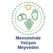 Mevsiminde Yetişen Meyveler