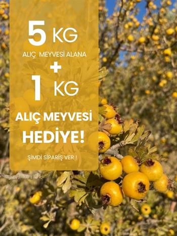  5 kg Alıç Meyvesi Alana 1 kg Hediye