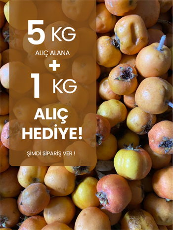  5 kg Alıç Meyvesi Alana 1 kg Hediye
