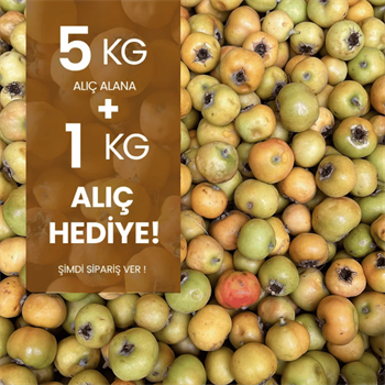  5 kg Alıç Meyvesi Alana 1 kg HediyeMeyve Sebze