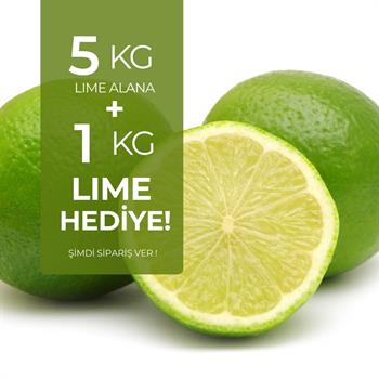  5 kg Lime Limon Alana 1 kg HediyeMeyve Sebze