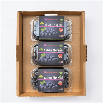 1.5 KG Taze Yaban Mersini KutusuYaban Mersini ve Orman Meyveleri