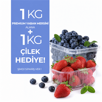 1 kg Premium Yaban Mersini Alana 1 Kg Çilek HediyeYaban Mersini ve Orman Meyveleri