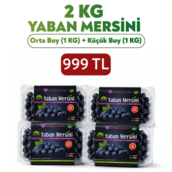 1kg Orta Boy Yaban Mersini ve 1kg Küçük Boy Yaban MersiniYaban Mersini ve Orman Meyveleri