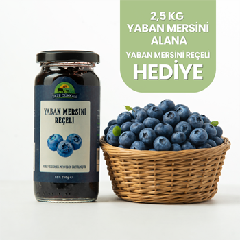 2.5 Kg Yaban Mersini Alana Yaban Mersini Reçeli HediyeYaban Mersini ve Orman Meyveleri